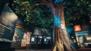 A large tree with many leaves in the middle of an exhibition space with light boxes and a large amount of wall text around it. one piece of wall text in focus reads Give me Liberty or Give me Death