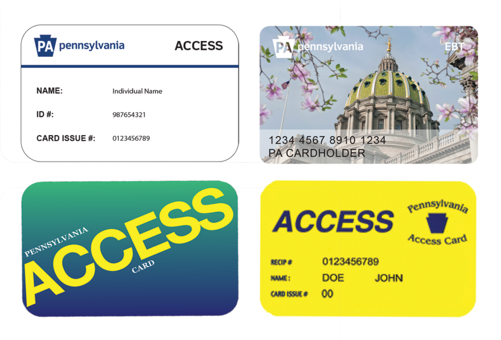ACCESS Program Art Reach